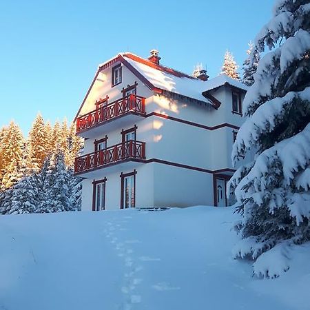 Vila Natasa Kopaonik Exteriör bild