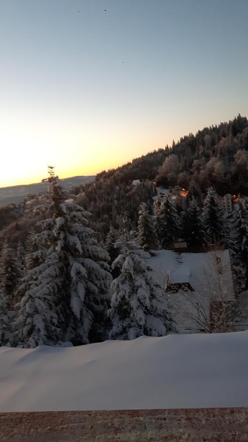 Vila Natasa Kopaonik Exteriör bild