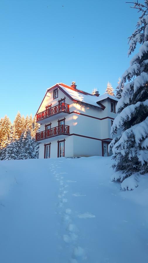 Vila Natasa Kopaonik Exteriör bild