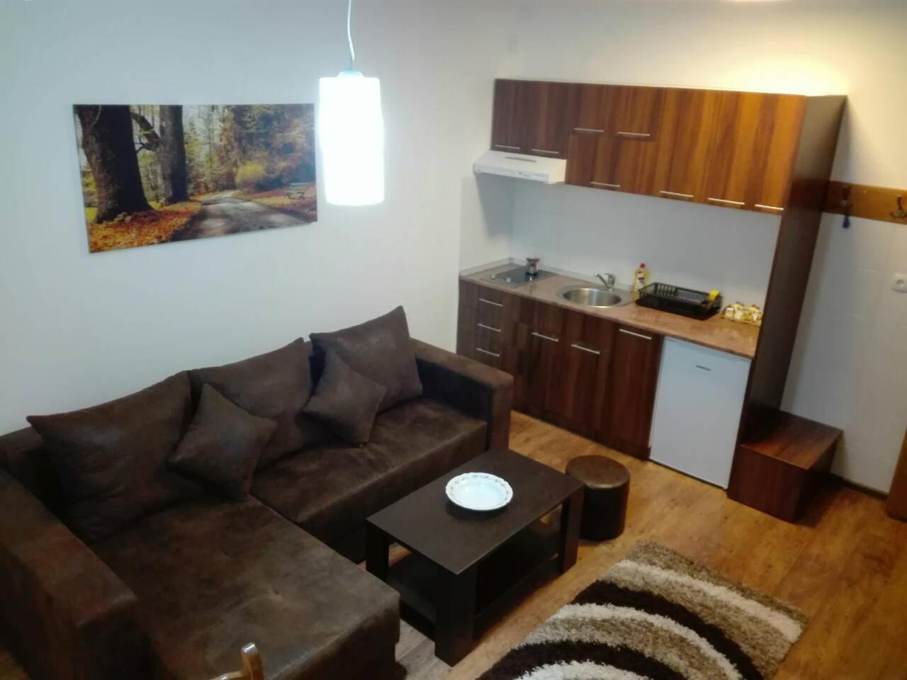 Vila Natasa Kopaonik Exteriör bild
