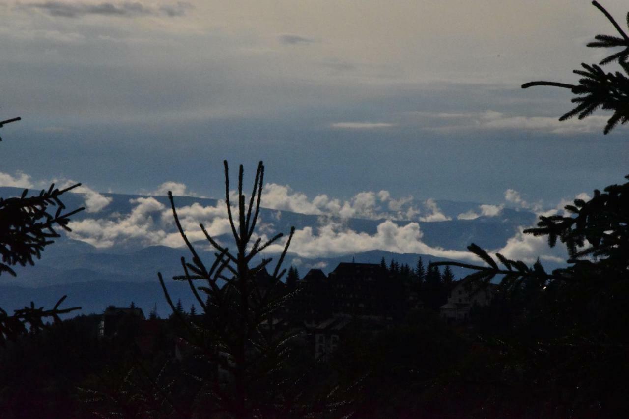 Vila Natasa Kopaonik Exteriör bild